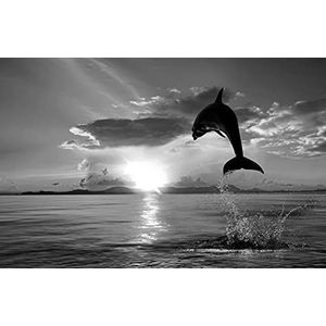 BEELD BEHANG PAPERMOON, dolfijn zwart / wit, VLIES fotobehang, digitale druk, inc. lijm, verschillende maten