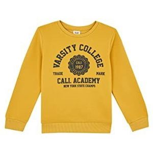 DeFacto Pullover met lange mouwen voor jongens - ronde hals sweatshirt voor jongens (geel, 8/9 Y), geel, 8-9 Jaren