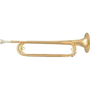 Natuurlijke trompet ftpc61