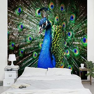 Apalis Vliesbehang edele pauw fotobehang vierkant | vlies behang wandbehang foto 3D fotobehang voor slaapkamer woonkamer keuken | Maat: 336x336 cm, blauw, 95317