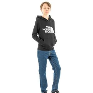 THE NORTH FACE Drew Peak Uniseks kinderjas