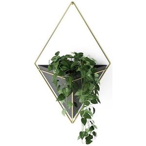 Umbra Trigg muurdisplay, Dolomiet, Zwart/goud