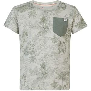 Noppies Kids Jongens Boys Tee Ricardo Short Sleeve All Over Print T-Shirt, Willow Grey-N044, 104, Willow Grey - N044, 104 cm