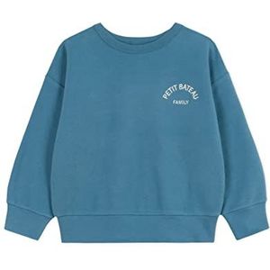 Petit Bateau Sweatshirt voor jongens, Lavis blauw, 10 Jaar