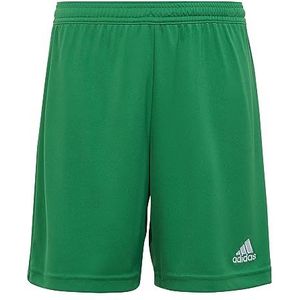 adidas Uniseks-Kind Entrada 22 Shorts, Team Green, 15-16 Years