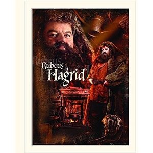 Piramide International Harry Potter (Hagrid) -Gemonteerde Print Memorabilia 30 x 40cm, Papier, Multi kleuren, 30 x 40 x 1,3 cm