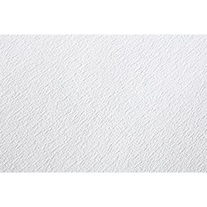 Clairefontaine - Ref 96388C - Etival Classic Grained Losse Vellen voor Aquarel Schilderen & Tekenen (25 Vellen Papier) - 56 x 76cm - 200gsm Cellulose Art Paper