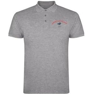AMERICAN COLLEGE USA Poloshirts Sport Ademend Gedrukt Kleding Unisex Kinderen Jongens en Meisjes Casual Model ACPLW3 MELL Grey 16 Jaar, Grijs, 16 Jaar