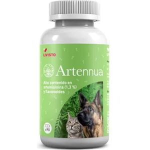 ARTENNUA 90 capsules