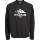 JACK & JONES Sweatshirt 'JCOFLARE'  grijs / zwart / wit