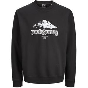 JACK & JONES Sweatshirt 'JCOFLARE'  grijs / zwart / wit