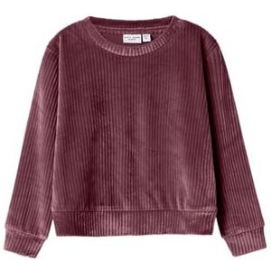 Velours Hoodie - Fluweel - Top - Lange Mouwen - Regular Fit