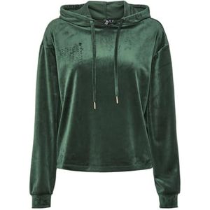 PIECES PCSILLI LS Velvet Hoodie FC BC, Trekking green., S