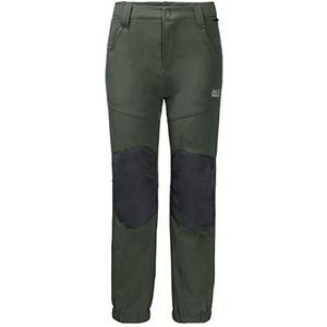 Jack Wolfskin Jongens Rascal Broek, Thyme Green, 104