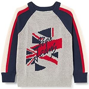 Pepe Jeans Robin Sweater voor jongens, Grijs, 6 Jaren