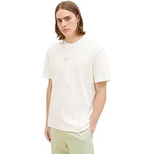 TOM TAILOR Denim T-shirt voor heren, 12906 - Wool White, L