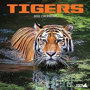 Tiger 2022 Kalender