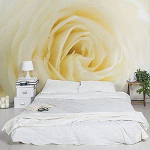 Apalis Vliesbehang bloemenbehang wit roos fotobehang breed | vliesbehang wandbehang muurschildering foto 3D fotobehang voor slaapkamer woonkamer keuken | geel, 94863