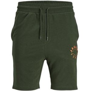 JACK&JONES PLUS Jpstwarrior sweatshorts voor heren in Pls sweatshorts, Mountain View, 48