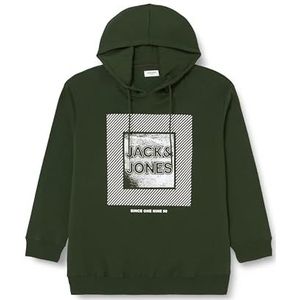 JACK & JONES Jjstein Sweat Hood Pls capuchontrui voor heren, Mountain View, 3XL Grote maten