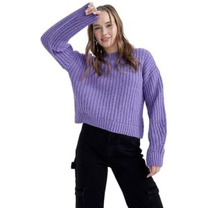 DeFacto Trui voor dames, Donker Lila, M
