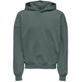 ONLY & SONS Onsturner Life VTG Hoodie Sweat Noos voor heren, Balsemgroen, L