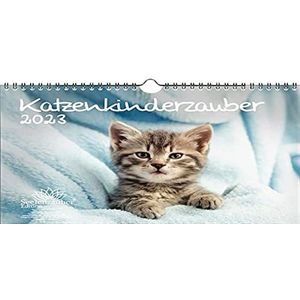 Kattenkindermagie DIN A4 kalender voor 2023 kattenkinderen kattenbaby's - zielmagie