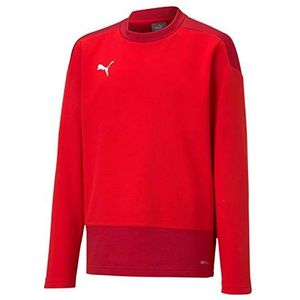 PUMA Jongens, TeamGOAL 23 Training Sweat Jr T-shirt