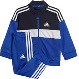 adidas Trainingspak van het merk I Tiberio TS