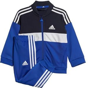 Adidas model I TIBERIO TS