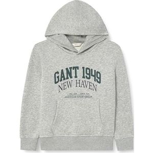 Graphic Hoodie, lichtgrijs gem., 146-152