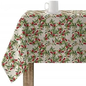 BELUM | Tafelkleed Kerstmis | vlekbestendig tafelkleed rechthoekig hars | tafelkleed van hars (kunststof touch) | tafelkleed voor huishouden (100 x 140 cm)