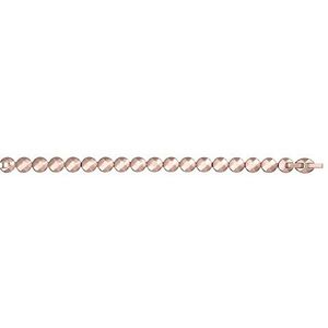 Phebus armband roestvrij staal 20 cm 832-053.R
