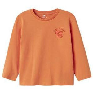 NAME IT Nmmnoah Ls Nreg Top Box, dusty orange, 92