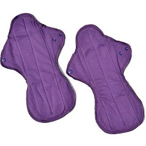 Ecofit Ecofit Maxi/Nacht 2 stuks 350 g