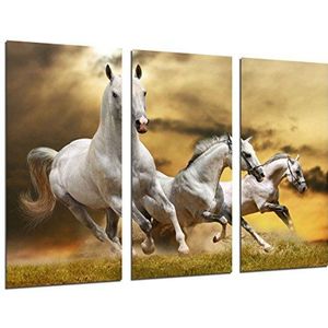 Fotodruk, motief: witte paarden, natuurlandschap, dieren, totale grootte: 97 x 62 cm, XXL