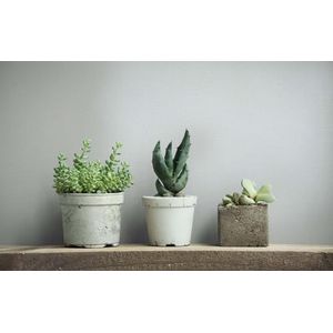 marburg Behang grijs blauw effen met lichte structuur effen modern voor woonkamer slaapkamer keuken 10,05 x 0,53 cm