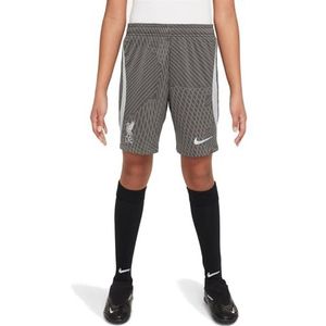 Nike Unisex Kinder Shorts LFC Y Nk Df Strk Short Kz, Antraciet/Wolf Grey/Wolf Grey, FD7101-060, S