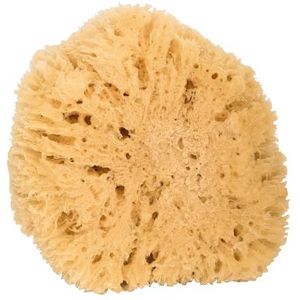 Niyok - Grote Natuurspons - Zacht - Biologisch Afbreekbaar - Duurzame Lichaamsspons voor Douche en Badkamer