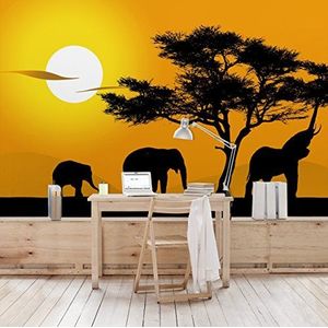 Apalis Vliesbehang Afrikaanse olifant walk fotobehang breed | vliesbehang wandbehang foto 3D fotobehang voor slaapkamer woonkamer keuken | geel, 94880