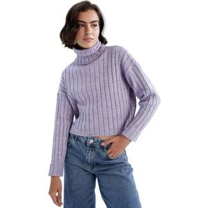 DeFacto Trui normale pasvorm voor dames - coltrui trui voor dames (lila, XL), lila (lilac), XL