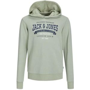 JACK&JONES JUNIOR Jjelogo Sweat Hood 2 Col 24 Snjnr, desert sage, 140 cm