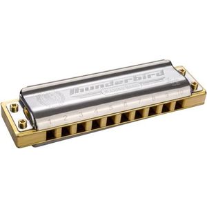 Hohner - 10 gaten - Thunderbird do Grave - Diatonische harmonica