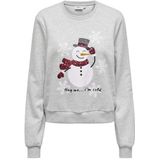 Only da Xmas L/S O-Neck Box SWT, lichtgrijs gem., S