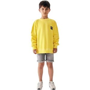 LTB Jeans Sweatshirts voor jongens Tayege Regular Casual pullover lange mouwen met ronde hals om over te trekken, 100% katoen in geel - maat 104 cm, Primrose Yellow 8358, 104 cm