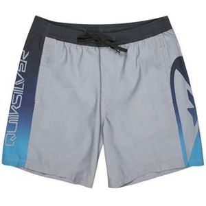 Quiksilver Everyday Holmes Volley Zwemshorts 17 Grijs XL