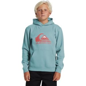 Quiksilver Big Logo Hoodie Youth Sweatshirt met capuchon voor jongens (1 stuk)