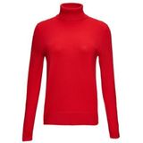 Trui - Effen - Col - Aansluitende Pasvorm - Lange Mouw - Normale Lengte