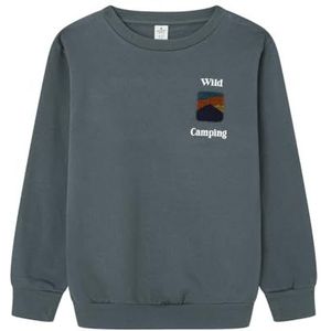 SPRINGFIELD Sweatshirt met landschap, ronde hals, voor kinderen, cementblauw, 5 jaar