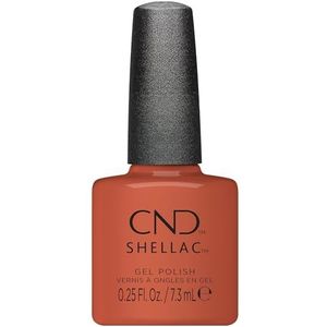 Shellac Terracotta Dreams # 404